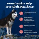 Blue Buffalo Wilderness Salmon Adult Dry Dog Food, Grain-Free, 24 lb | 39g Protein, Real Salmon #1 Ingredient, Antioxidant-Rich Fruits & Veggies, High Protein to Fuel Adventures - Image 6