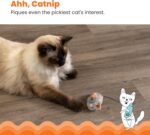 Catstages Squeak Squeak Mouse Cat Toy with Touch-Activated Sound & Catnip, Gray - Image 6