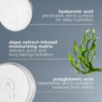 Dermalogica Circular Hydration Face Serum with Hyaluronic Acid | Deep Long Lasting Hour Hydration, with Hyaluronic Acid, Polyglutamic Acid, and Algae Extract, Plumps Dry, Dull Skin - Image 7