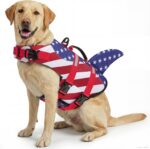 ASENKU Dog Life Jacket - Pet Safety Vest for Swimming & Boating, Shark Life Jacket with Floatation, Dog Lifesavers Swimsuits for Small Medium Large Dogs (RedFlag, L) - Image 2