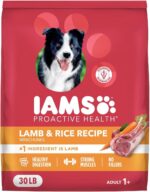 IAMS Proactive Health Dry Dog Food, Adult Dog Food Dry Recipe, Lamb & Rice, 30 lb. Bag - Image 2