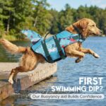 ASENKU Dog Life Jacket - Pet Safety Vest for Swimming & Boating, Shark Life Jacket with Floatation, Dog Lifesavers Swimsuits for Small Medium Large Dogs (Ocean, XL) - Image 7