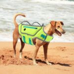 Dog Life Jacket, Good Visibility Pet Swimming Vest for Boating L | Dog Life Vest Reflective Stripes and Rescue Handle, Adjustable High Flotation Puppy Swim Vest for Small Medium and Large Dogs - Image 8