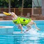 Dog Life Jacket, Good Visibility Pet Swimming Vest for Boating L | Dog Life Vest Reflective Stripes and Rescue Handle, Adjustable High Flotation Puppy Swim Vest for Small Medium and Large Dogs - Image 9