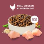 Nutrish Small Breed Dry Dog Food with Chicken, 5 lb. Bag (Rachael Ray) | Suitable for Small Adult Dogs, Veterinarian Reviewed Formula, Made with No Artificial Flavors - Image 5