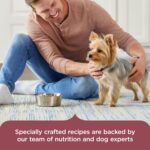 Nutrish Small Breed Dry Dog Food with Chicken, 5 lb. Bag (Rachael Ray) | Suitable for Small Adult Dogs, Veterinarian Reviewed Formula, Made with No Artificial Flavors - Image 7
