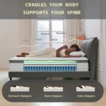 Queen Mattress, 12 Inch Hybrid Queen Size Mattress - Memory Foam & Individually Pocket Coils Springs | Pressure Relief | Motion Isolation, Edge Support | CertiPUR-US Certified | Medium Firm - Image 4
