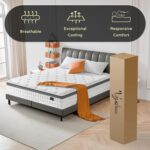 Queen Mattress, 12 Inch Hybrid Queen Size Mattress - Memory Foam & Individually Pocket Coils Springs | Pressure Relief | Motion Isolation, Edge Support | CertiPUR-US Certified | Medium Firm - Image 7