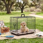 DUMOS 24 Inch Dog Crate, Foldable Puppy Small Dog Cage Pet Kennel | Single Door Metal Wire, Plastic Leak-Proof Pan Tray, Portable Indoor Outdoor Training Travel - Image 8