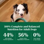 Nutro Natural Choice Adult Dry Dog Food, Chicken & Brown Rice Recipe, 5 lb | Non-GMO, Real chicken #1 ingredient, no corn, wheat, soy or chicken by-product meal, supports skin & coat/digestion/immunity - Image 6