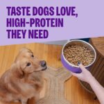 Wellness CORE Adult Dry Dog Food, Grain Free Kibble, Natural, High Protein, Turkey and Chicken Recipe, 26 lb Bag - Image 3