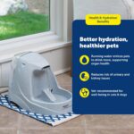 PetSafe Drinkwell Platinum Cat Water Fountain, 168 oz/5L, Grey | Free-Falling Stream Encourages Drinking, Snap-on Lid Prevents Removal, Includes Replaceable Carbon Filter - Image 6