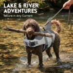 ASENKU Dog Life Jacket - Pet Safety Vest for Swimming & Boating, Shark Life Jacket with Floatation, Dog Lifesavers Swimsuits for Small Medium Large Dogs (Grey, L) - Image 8