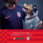Purina ONE Wet Dog Food Variety Pack, Classic Ground, (6) 13 oz Cans | Two ground entrees, Chicken & Brown Rice and Beef & Brown Rice, with complete and balanced adult nutrition and no fillers - Image 4