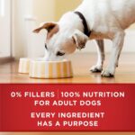 Purina ONE Wet Dog Food Variety Pack, Classic Ground, (6) 13 oz Cans | Two ground entrees, Chicken & Brown Rice and Beef & Brown Rice, with complete and balanced adult nutrition and no fillers - Image 10