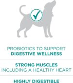Purina One Plus Digestive Health Formula Dry Dog Food Natural with Added Vitamins, Minerals and Nutrients - 16.5 Lb. Bag - Image 5