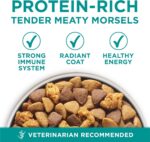 Purina One Plus Digestive Health Formula Dry Dog Food Natural with Added Vitamins, Minerals and Nutrients - 16.5 Lb. Bag - Image 8