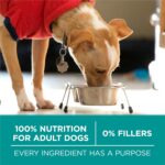 Purina One Plus Digestive Health Formula Dry Dog Food Natural with Added Vitamins, Minerals and Nutrients - 16.5 Lb. Bag - Image 9