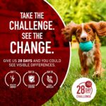 Purina One Plus Digestive Health Formula Dry Dog Food Natural with Added Vitamins, Minerals and Nutrients - 16.5 Lb. Bag - Image 11