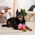 goDog Bubble Plush Dragons Squeaky Dog Toy, Chew Guard Technology - Coral, Large - Image 9