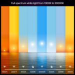 Philips Hue Smart LED A19 Bulb 2-Pack, White Ambiance, E26 Base, 9.5W, Full Spectrum Light 1000K-20000K, 1100 Lumens, Dimmable LED Bulbs, Works with Alexa, Google, and Apple Home - Image 4