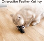 Migipaws Interactive Cat Ball Toy Set, Fun Tracker, Automatic Rolling Chase Ball with Fluffy Tail, A Small Mice, Rechargeable (White) - Image 4