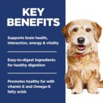 Hill's Science Diet Adult 7+ Senior Vitality Small & Mini Dry Dog Food | #1 Veterinarian Recommended, Chicken & Rice, 3.5 lb. Bag - Image 6
