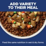 Hill's Science Diet Adult 7+ Senior Vitality Small & Mini Dry Dog Food | #1 Veterinarian Recommended, Chicken & Rice, 3.5 lb. Bag - Image 10