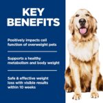 Hill's Science Diet Adult Perfect Weight Dry Dog Food | #1 Veterinarian Recommended, Chicken & Brown Rice, 25 lb. Bag - Image 5