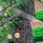 Frocopo Hand Saw Woodworking Tools, 6-Inch Pull Saw, Flexible Double-Edge Blade 17/11 TPI, Japanese Flush Cut for DIY Craft, Non-Slip Wood Handle, Sharp & Lightweight for Woodworking and Garden Trim - Image 6
