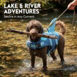 ASENKU Dog Life Jacket - Pet Safety Vest for Swimming & Boating, Shark Life Jacket with Floatation, Dog Lifesavers Swimsuits for Small Medium Large Dogs (Deepblue, L) - Image 9