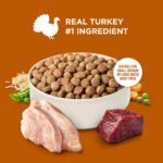Nutrish Healthy Weight Dry Dog Food, 4.5 lb. Bag (Rachael Ray) | Turkey, Brown Rice & Venison Recipe, Made With L-Carnitine to Help Support a Healthy Metabolism, No Artificial Flavors - Image 6