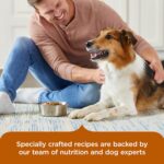 Nutrish Healthy Weight Dry Dog Food, 4.5 lb. Bag (Rachael Ray) | Turkey, Brown Rice & Venison Recipe, Made With L-Carnitine to Help Support a Healthy Metabolism, No Artificial Flavors - Image 8