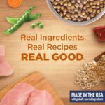 Nutrish Healthy Weight Dry Dog Food, 4.5 lb. Bag (Rachael Ray) | Turkey, Brown Rice & Venison Recipe, Made With L-Carnitine to Help Support a Healthy Metabolism, No Artificial Flavors - Image 9