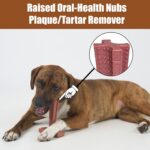 SPOT Bam-Bones Plus T Bone – Bamboo Fiber & Nylon Dog Chew Toy for Moderate to Aggressive Chewers, Durable Long Lasting & Non-Splintering, Beef Flavor Toy for Adult Dogs & Puppies Under 60 lbs, 6 in - Image 11