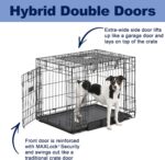 MidWest Homes for Pets Medium Ovation Double Door 30-inch Folding Metal Dog Crate, Front and Up & Away Side Doors, Space-Saving Design - Image 5