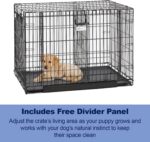 MidWest Homes for Pets Medium Ovation Double Door 30-inch Folding Metal Dog Crate, Front and Up & Away Side Doors, Space-Saving Design - Image 7