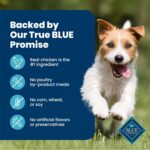 Blue Buffalo Delights Rotisserie Chicken Wet Dog Food, 3.5 oz, 12 ct | Small Breed Formula, Grain-Free, Real Chicken First, in Hearty Gravy, No Corn, Wheat, or Soy - Image 7