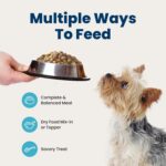 Blue Buffalo Delights Rotisserie Chicken Wet Dog Food, 3.5 oz, 12 ct | Small Breed Formula, Grain-Free, Real Chicken First, in Hearty Gravy, No Corn, Wheat, or Soy - Image 9