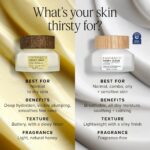 Farmacy Ceramide Face Moisturizer - Honey Halo Ultra Hydrating Facial Moisturizer with Buckwheat Honey + Ceramides - Helps Restore Barrier + Replenish Dryness - Plumping Skin Care for Dry Skin (100ml) - Image 4