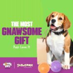 Gnawsome Medium Squeaker Ball Dog Toy, Medium 3.5", Colors will vary, All Breed Sizes - Image 8