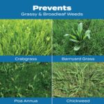 Scotts Turf Builder Halts Crabgrass Preventer with Lawn Food, 5,000 sq. ft. | Pre-Emergent Weed Killer, Lawn Fertilizer, Covers 5,000 sq. ft. - Image 5