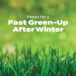 Scotts Turf Builder Halts Crabgrass Preventer with Lawn Food, 5,000 sq. ft. | Pre-Emergent Weed Killer, Lawn Fertilizer, Covers 5,000 sq. ft. - Image 6