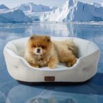 Bedsure AeroFrost™ Cooling Small Dog Bed, Round Washable, 25In Arctic Blue | Q-Max>0.4 Cat Beds for Indoor Cats, Comfort Cooling Summer Pet Bed,Anti-Slip Bottom,for Puppies and Kittens - Image 2