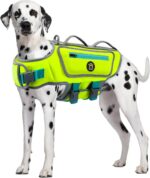 Dog Life Jacket, Good Visibility Pet Swimming Vest for Boating L | Dog Life Vest Reflective Stripes and Rescue Handle, Adjustable High Flotation Puppy Swim Vest for Small Medium and Large Dogs - Image 2