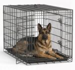 FDW | 48" Foldable Metal Dog Crate | Dark Black | Cage for XL Dogs | Heavy Duty, Portable Wire Kennel with Double Door, Divider & Leak-Proof Tray | For Training, Home, Travel Indoor/Outdoor Use - Image 2